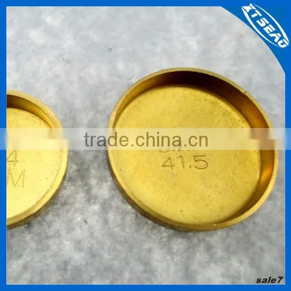 Water Resistant Plug Used in Engine photo-5