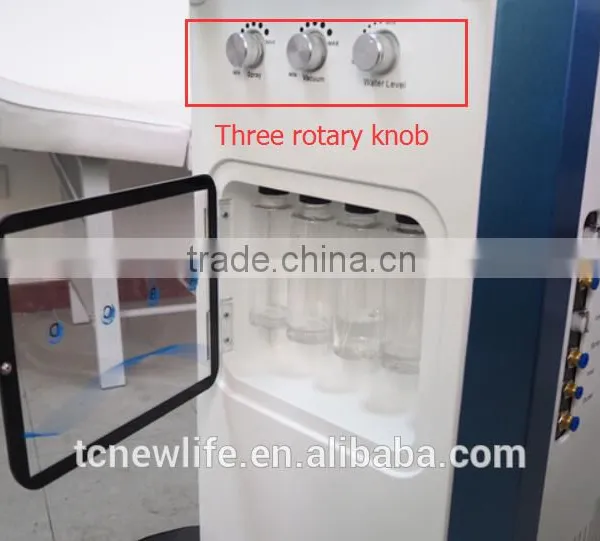 NL-SPA10 Real Factory ! Multifunction Facial Beauty Improve Skin Texture Machine/water Oxygen Facial Machine Skin Scrubber Anti-aging photo-6