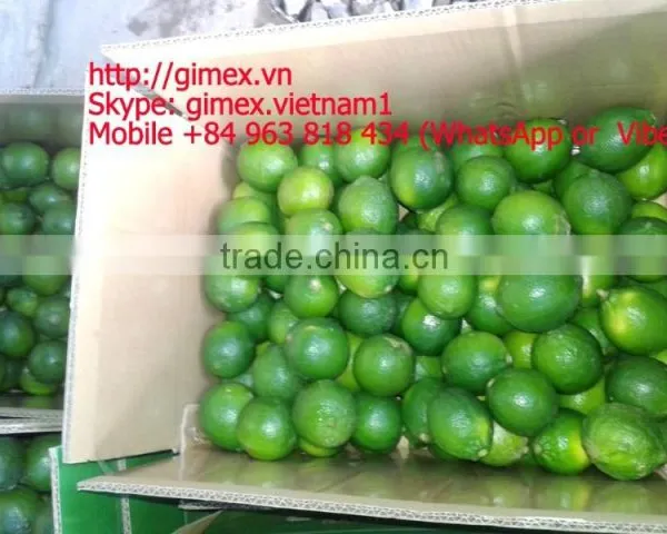 Fresh Lemon Gimex 2015 photo-3