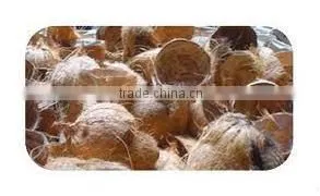 High Quality Cheap Dried Coconut Shell