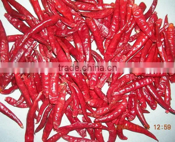 Red Chillies Stemless