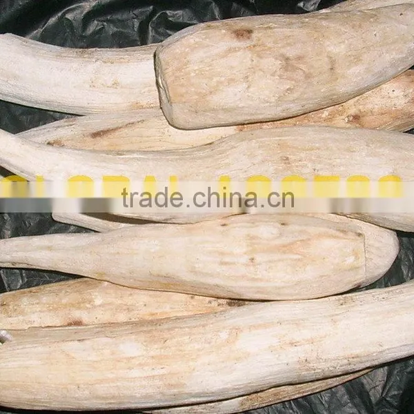 Cassava Chip