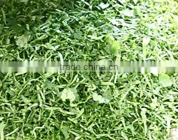 FC-306 Automatic Electric Vegetable Slicer Equipment Shredder Machine photo-6