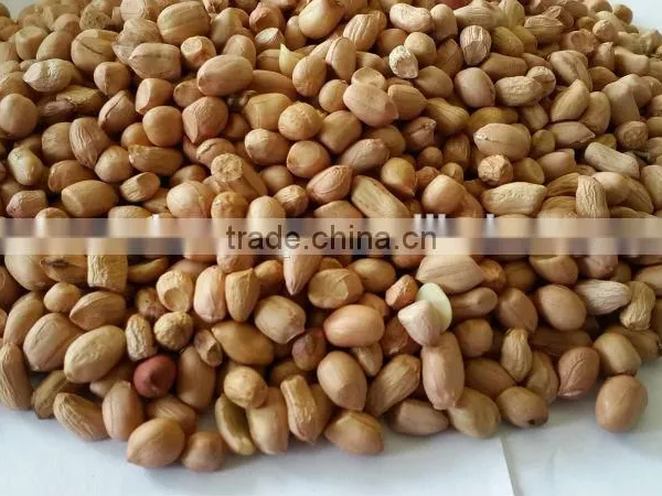 Groundnut Kernels or Peanuts photo-2
