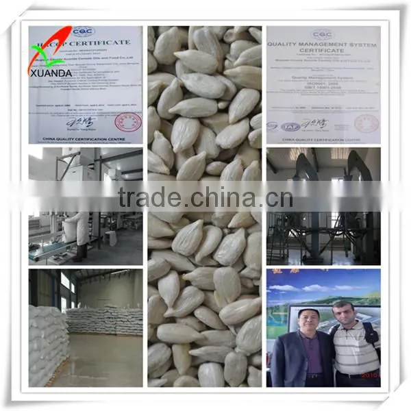 Hulled Sunflower Seed Kernels Bakery Grade photo-5