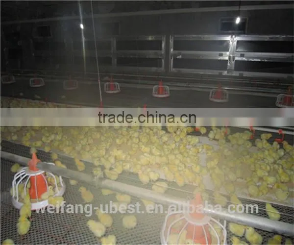 Poultry Feed Manufacturing Equipment for Broilers photo-3