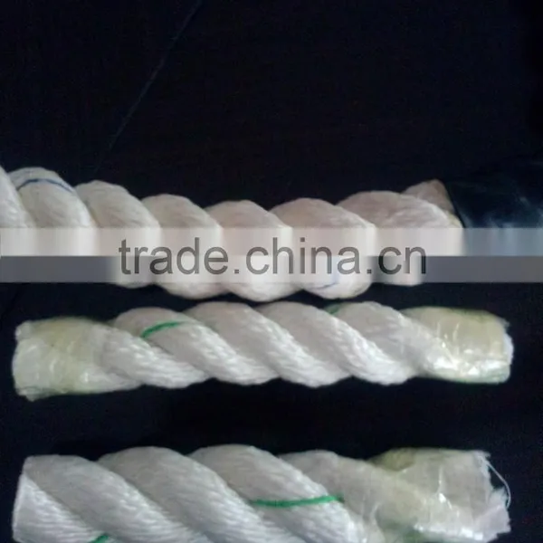 2015 Best China Supplier Crossfit Battle Rope for Sale photo-3