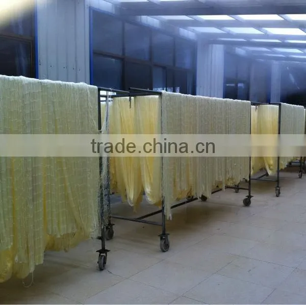 Fishing Net