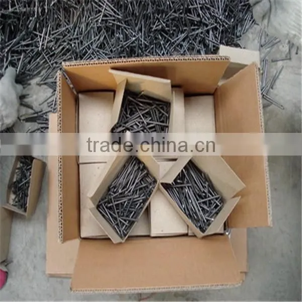 1/2"-13" High Quality Common Nails/ Stainless Steel Nail photo-4