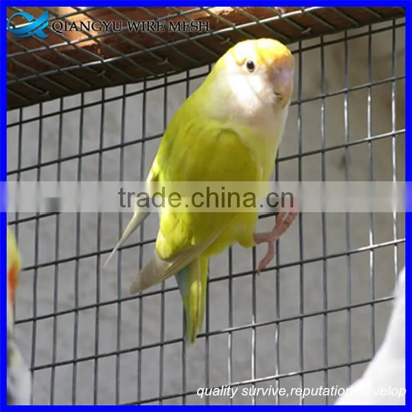 Heavy Gauge Bird Cage Wire Mesh Galvanized Welded Wire Mesh Panel 2x2 photo-2