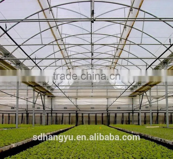 High Quality Mushroom Commercial Greenhouse photo-5