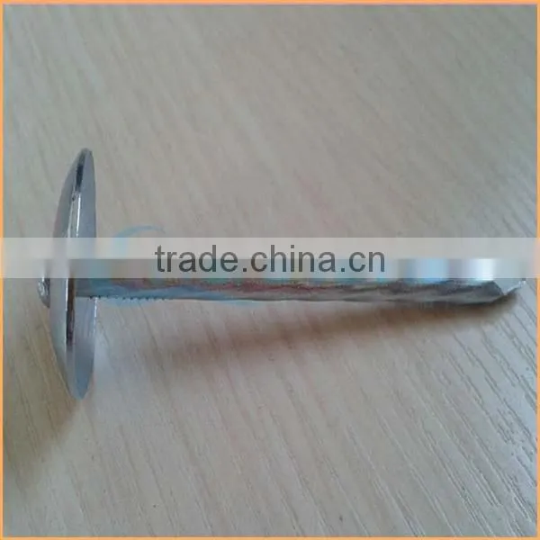 Top Quality Roofing Nails With Plastic Washer Trusted Chuanghe Suppliers From Com photo-4