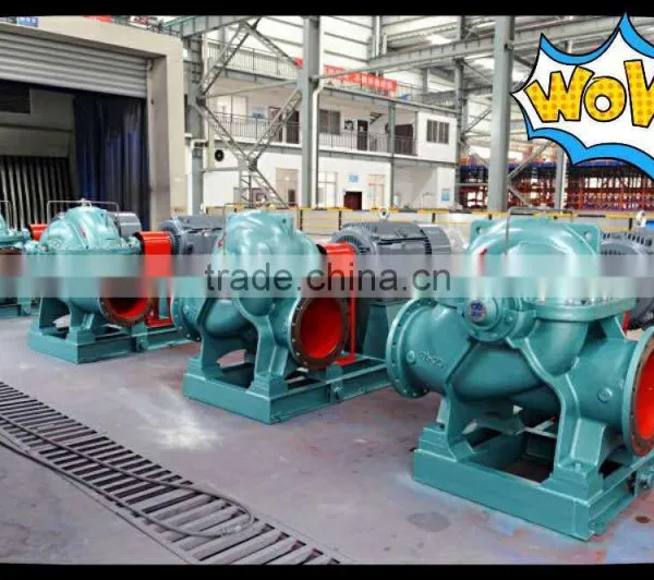 OEM Service Customized Horizontal Split Case Pump photo-2