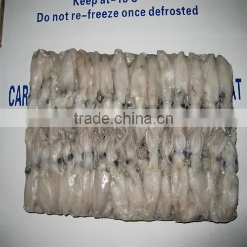 Hot Sale Whole Round Frozen Baby Squid photo-6
