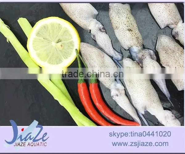 Frozen Baby Squid BQF OR IQF photo-2