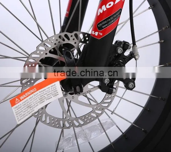 China Factory Wholesale 20 Inch Folding Ebike Fat Tire Beach Cruiser Electric Bike photo-6