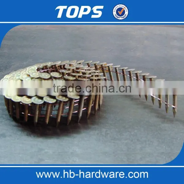 Yellow Zinc Galvanized Coiled Roofing Nails photo-4