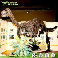 Science Educationa Equipment Fiberglass Dinosaur Fossil Replica photo-2