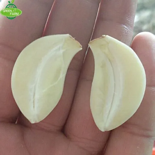 Newly Listed Pure White Garlic,5pcs,200g photo-2