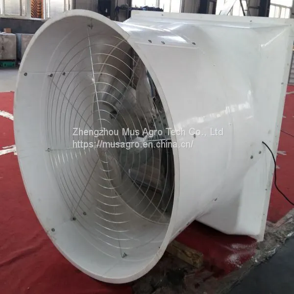 High Quality Automatic Pig Farm Design Floor Feeding System Equipment photo-5