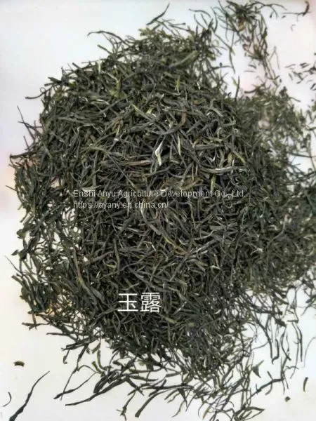 How Much is the Price of Enshi Yulu Tea? Enshi Yulu Bulk Wholesale Hubei Enshi Yulu Tea photo-5