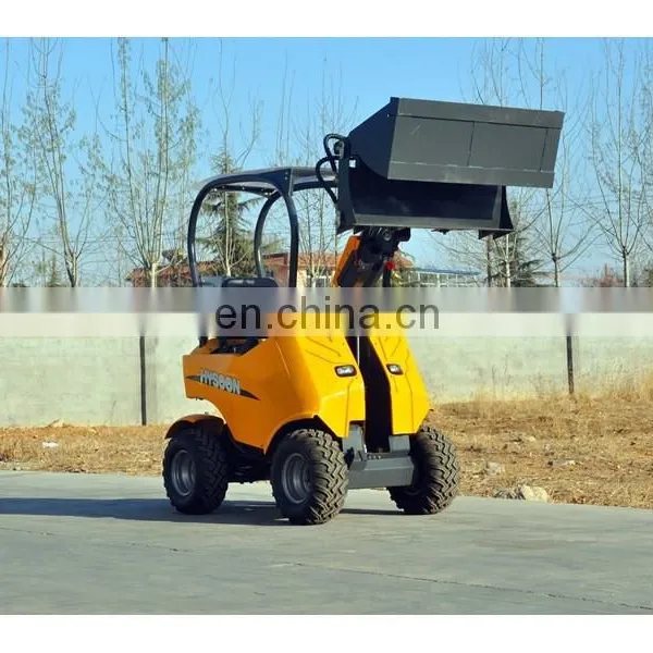 Avant Mini Wheel Loader for Sale photo-5
