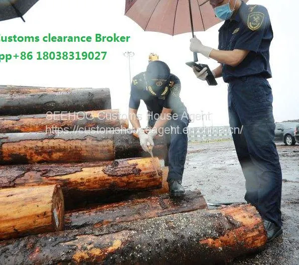 Importer Agency Customs Clearance Netherland Rivet Industry Use Import to Fuzhou Customs photo-2