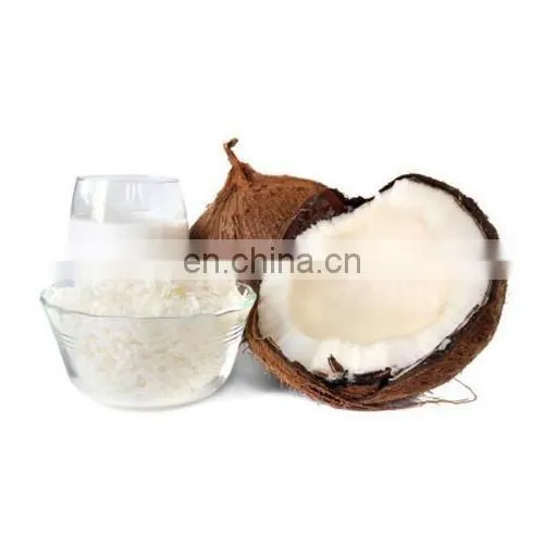 NATURAL COCONUT MILK POWDER SPECIAL FROM VIETNAM photo-4