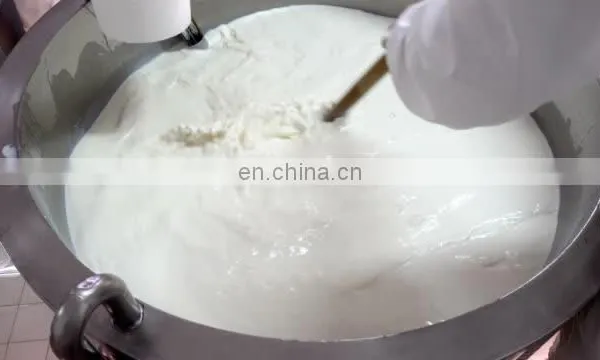 Cream Cheese Soft Cheese Production Line photo-4