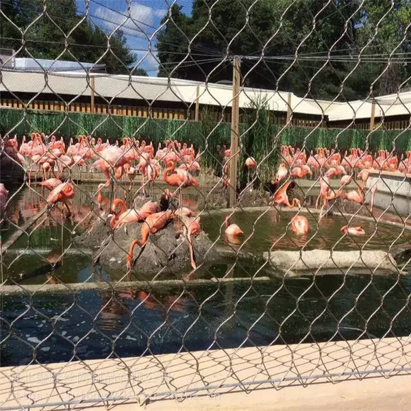 Factory Customised 304/316 Stainless Steel Rope Mesh Woven for Zoo Fencing photo-4