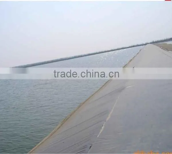 Blue Color Geomembrane photo-3