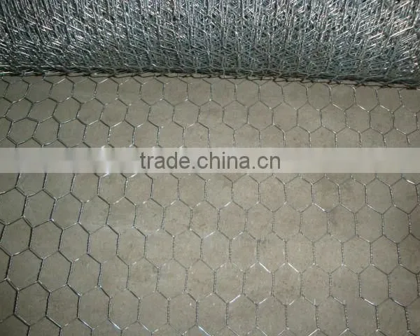 1/4 Inch Galvanized Welded Wire Mesh