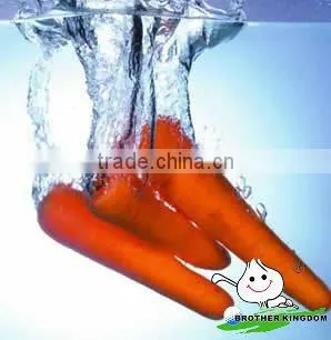 Fresh Carrot In Organic Vegetables,Wholesale Carrots photo-6