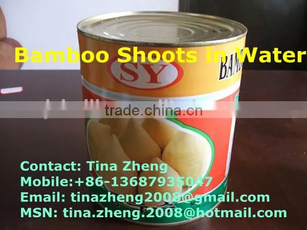 Water Bamboo Shoot in Can/tin