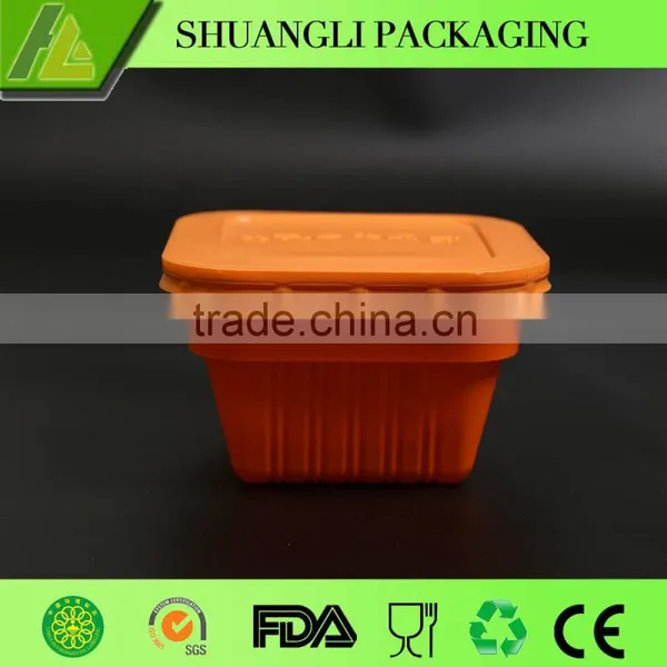 Plastic Food Container pp Plastic Lunch Boxes photo-2