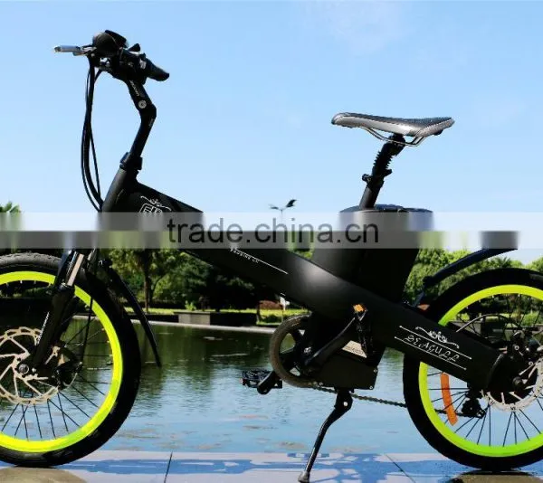 Seagull E-bike Li-ion Battery Case photo-2