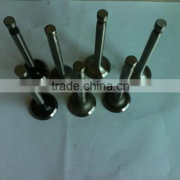 Hebei Factory Farm Tractor Parts Diesel Engine Valve/Valve for Diesel Engine