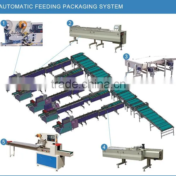 Automatic Biscuit/chocolate/cookies/bread Flow Packing Machine photo-4