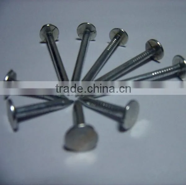 Common Nail Wire Nail