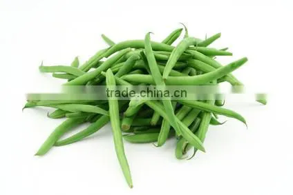 Exporters of Fresh Vegetables photo-2