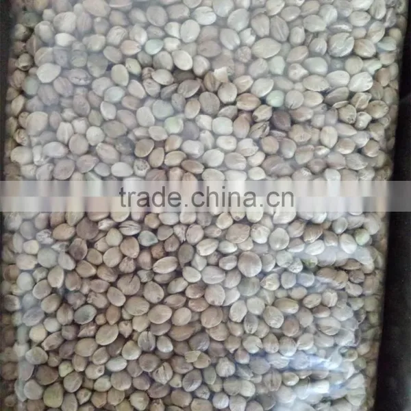 Hemp Seed 2016 photo-4