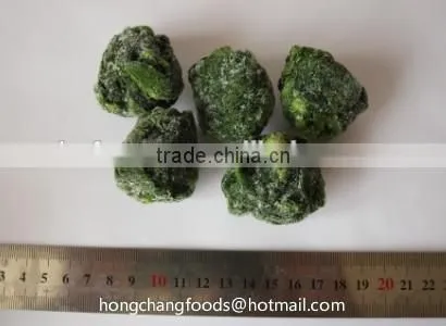 China High Quality BQF Frozen Spinach Block photo-4