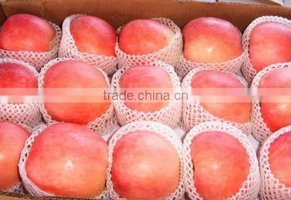 Fresh Apple photo-2