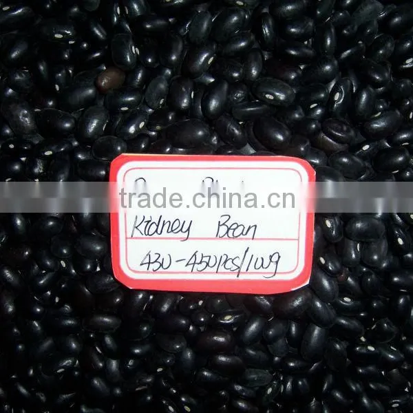 Kinds of Kidney Bean 2015 New Crop photo-6