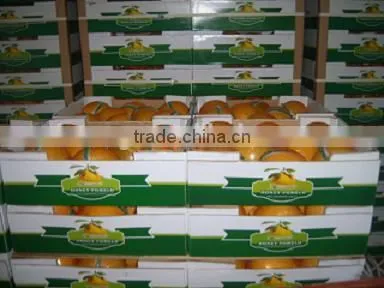 2015 New Crop of Fresh Pomelo Honey Pomelo Pomelo Fruit photo-3