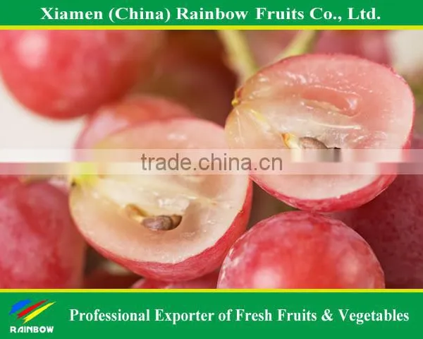 Fresh Chinese Table Grape Red Globe Grape Red Grape to India Asia Market photo-5