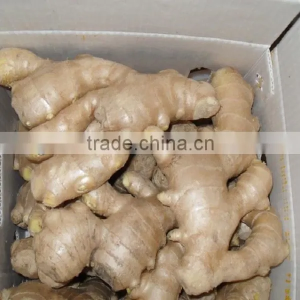 air-dried ginger