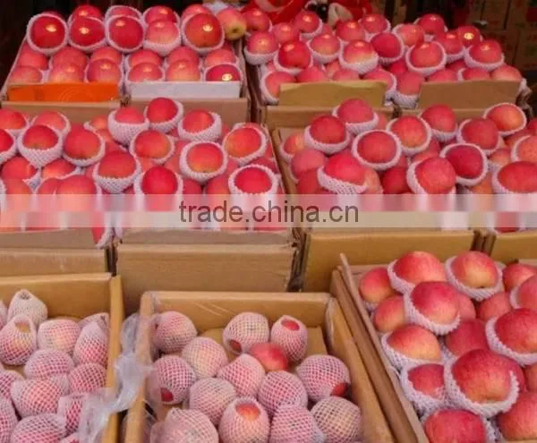 Fresh Style and Apple Type Fresh Apple From China 2014 photo-2