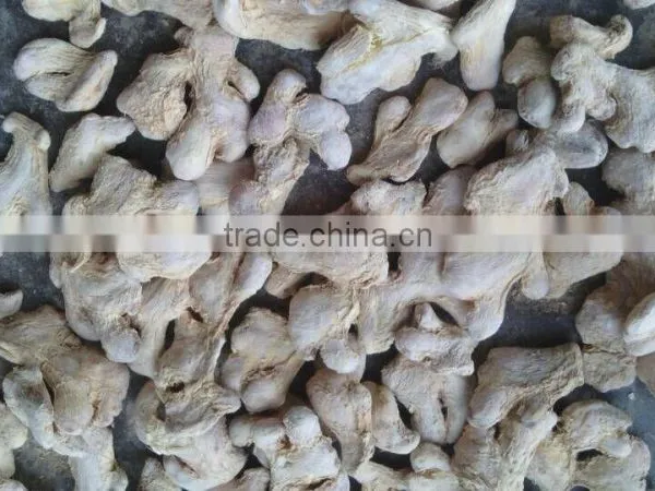 Dry Ginger photo-3
