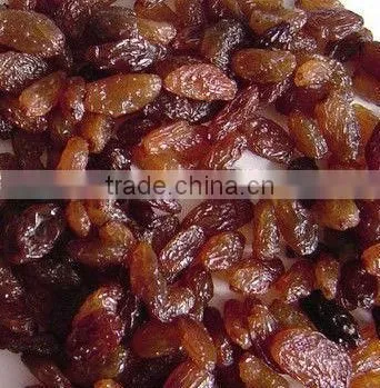 Industrial Tunnel Conveyor Belt Type Raisins Drying and Sterilizing Microwave Oven photo-3